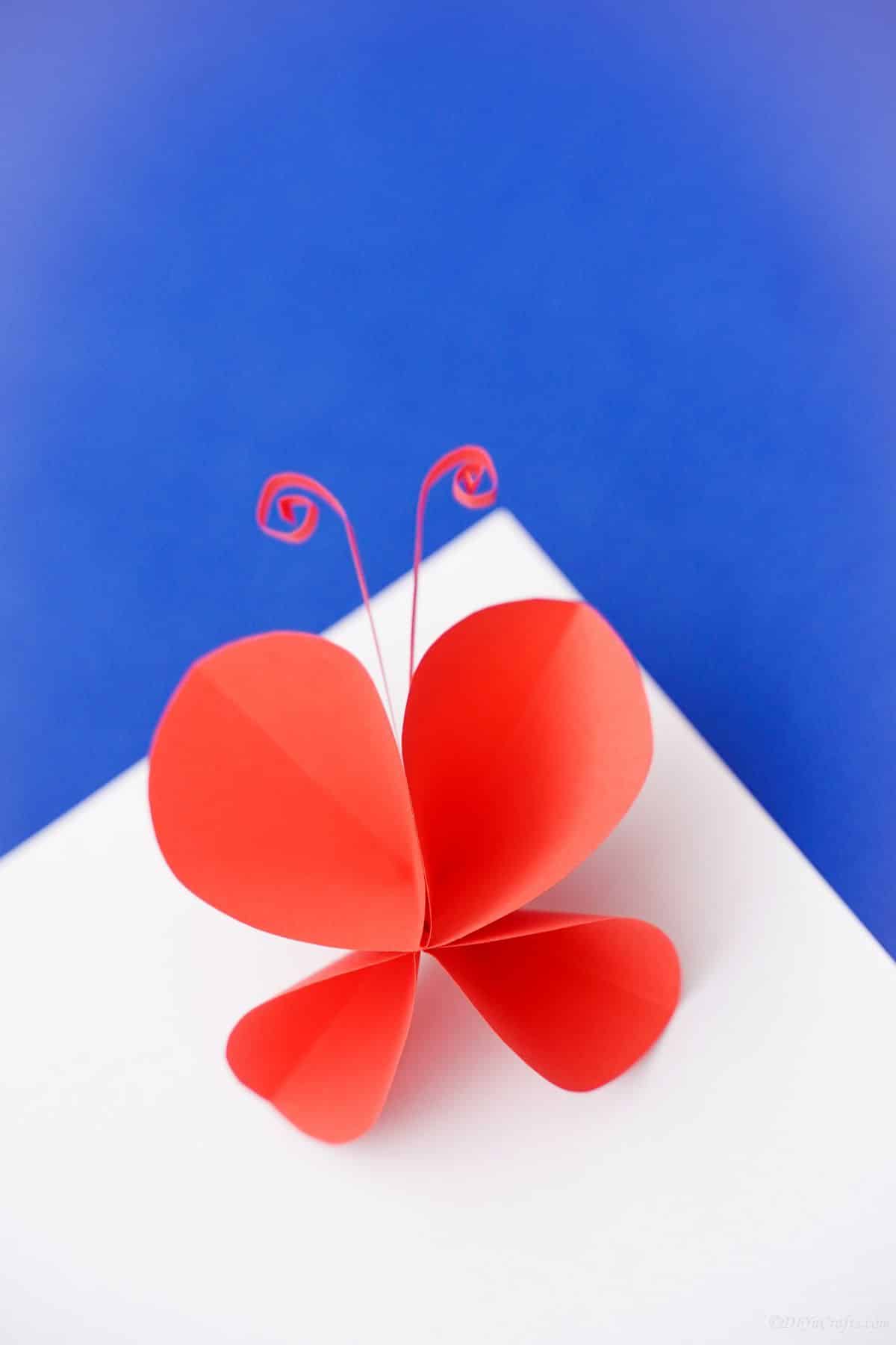бумажная бабочка, лежащая на белой и синей бумаге