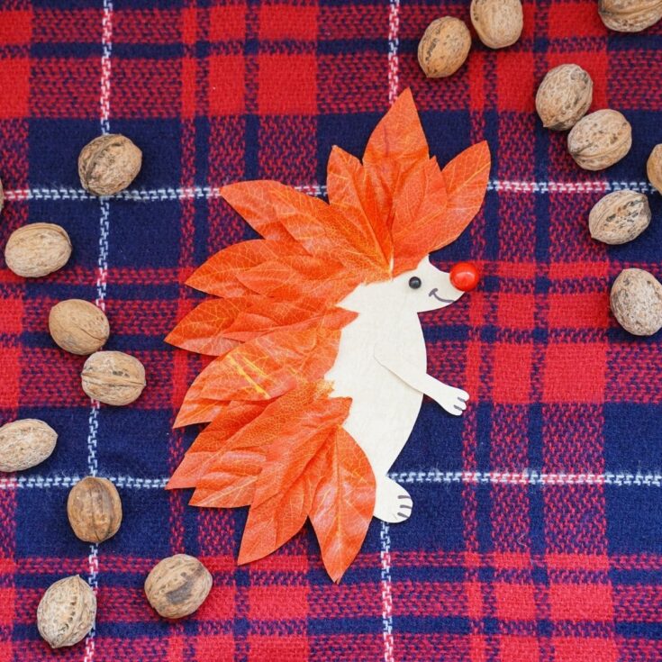 Красно-синяя клетчатая ткань с бумагой и листовым ежиком сверху рядом с орехами пекан