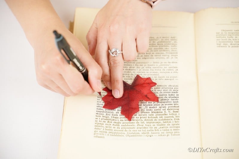 женщина режет лист на странице книги