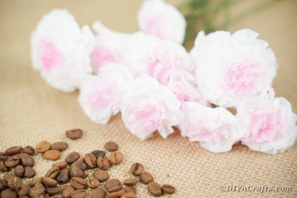 Цветы из папиросной бумаги на столе с фасолью
