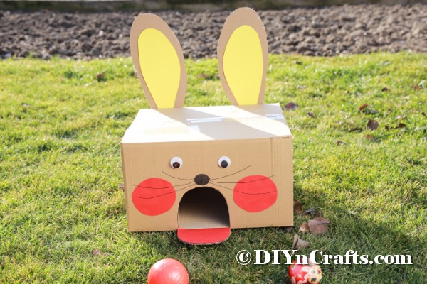 Кролик из картонной коробки на траве