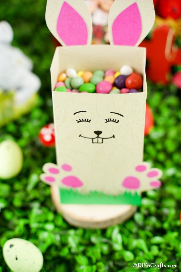Мешок кролика, наполненный конфетами