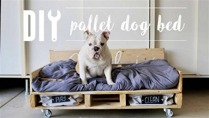 Очаровательная кровать для собаки из поддонов своими руками