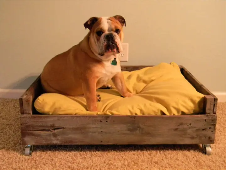 Кровать из поддонов для собак своими руками
