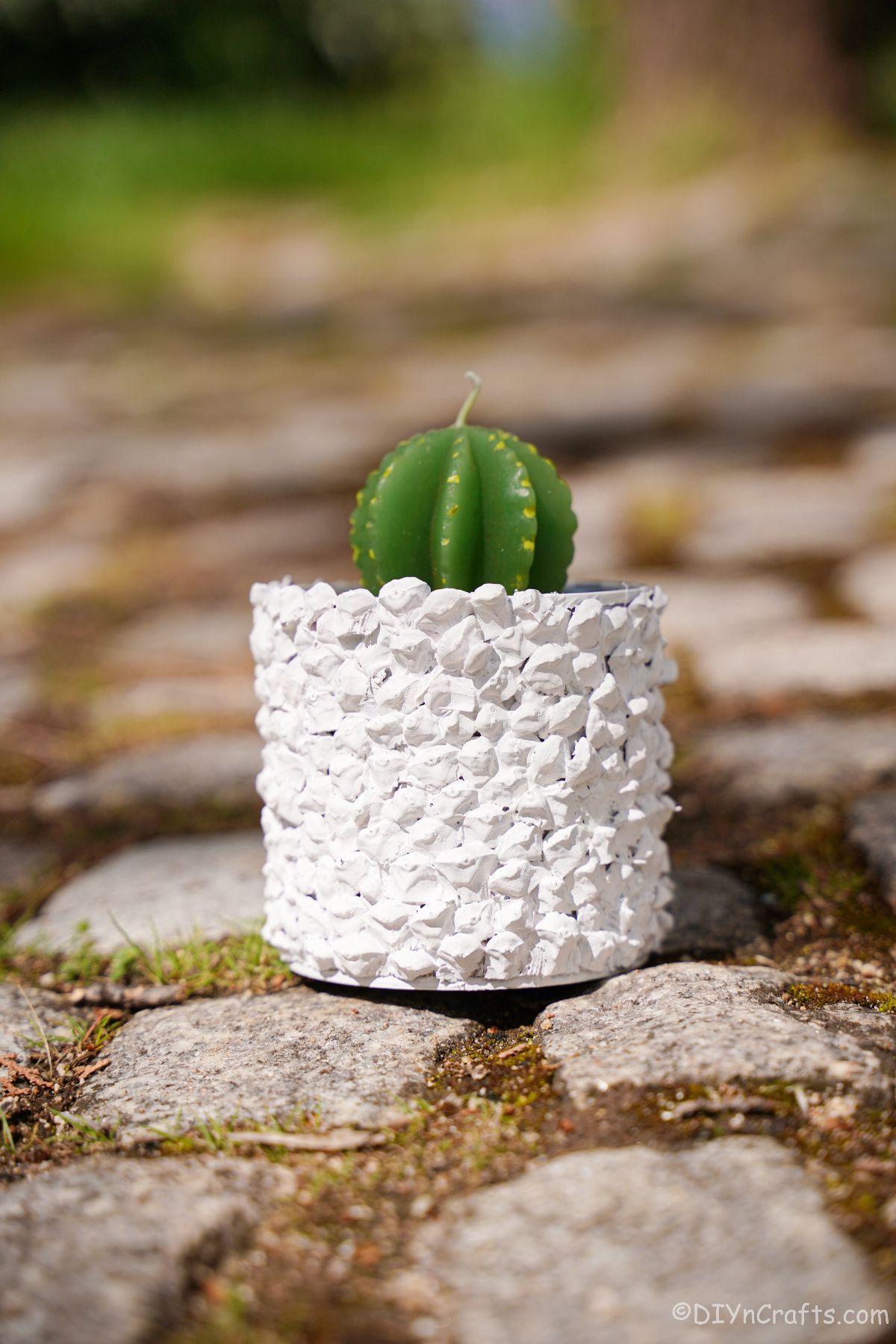 белый плантатор на каменной дорожке с зеленой свечой кактуса сверху